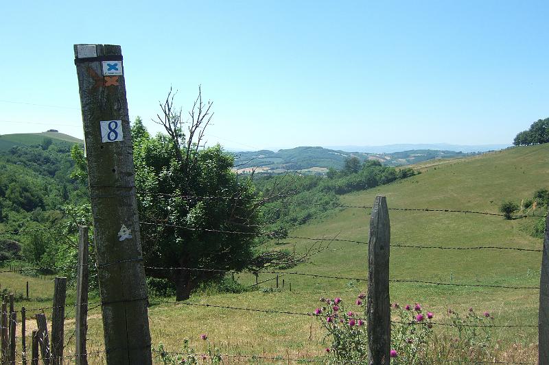 2011-05- (950).JPG